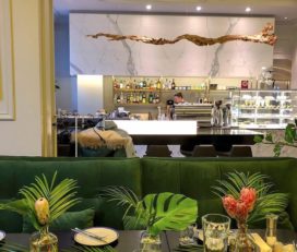 Fandom coffee bar